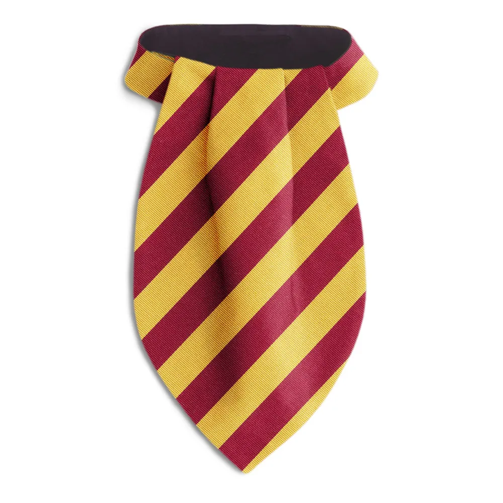 Academy Gold/Maroon - Ascots