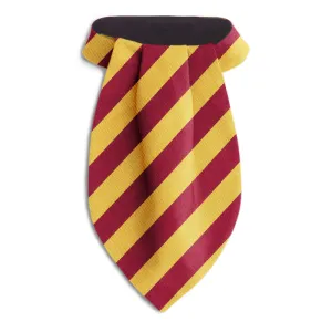 Academy Gold/Maroon - Ascots