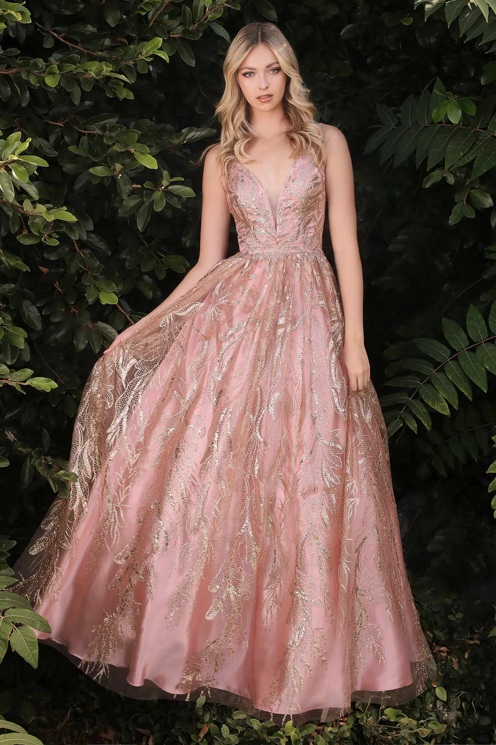 Cinderella Evening Dress J812