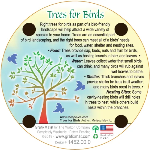 Coaster - Trees of Birds