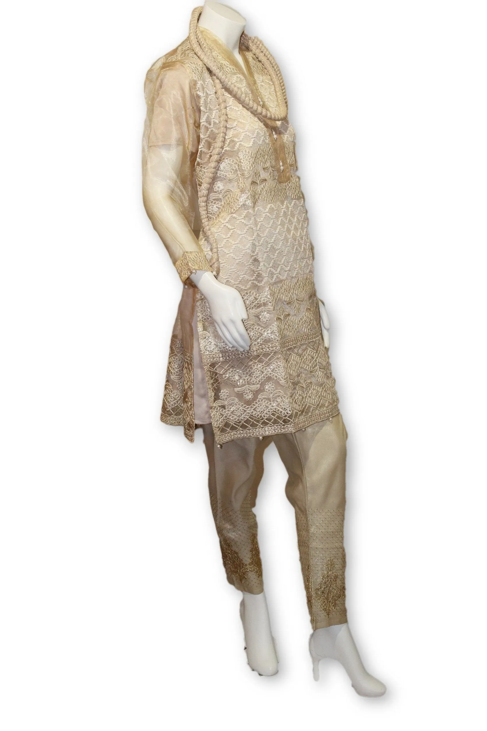 D19 Pakistani Indian Women Embroidered Organza Formal Dress