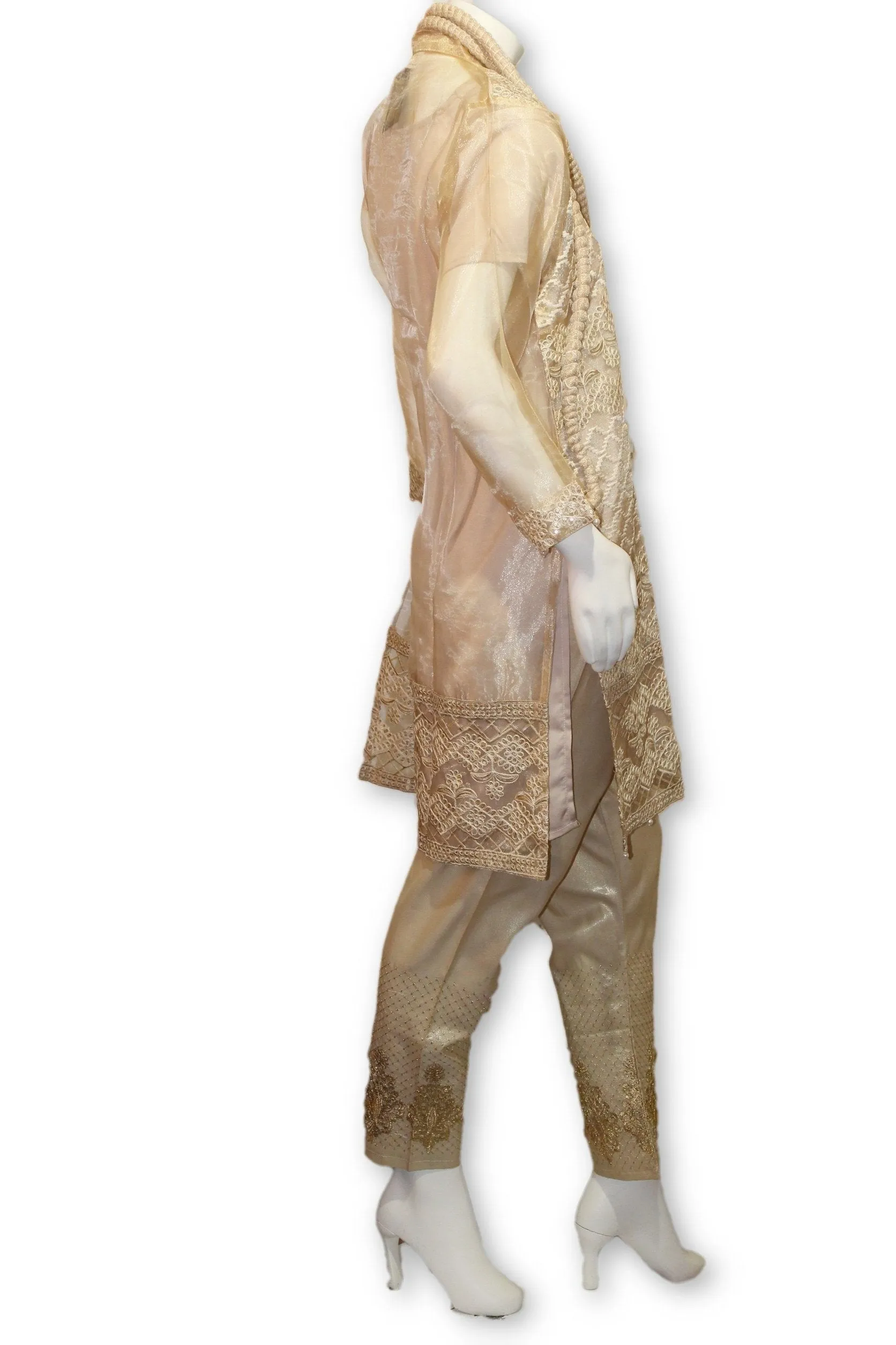 D19 Pakistani Indian Women Embroidered Organza Formal Dress