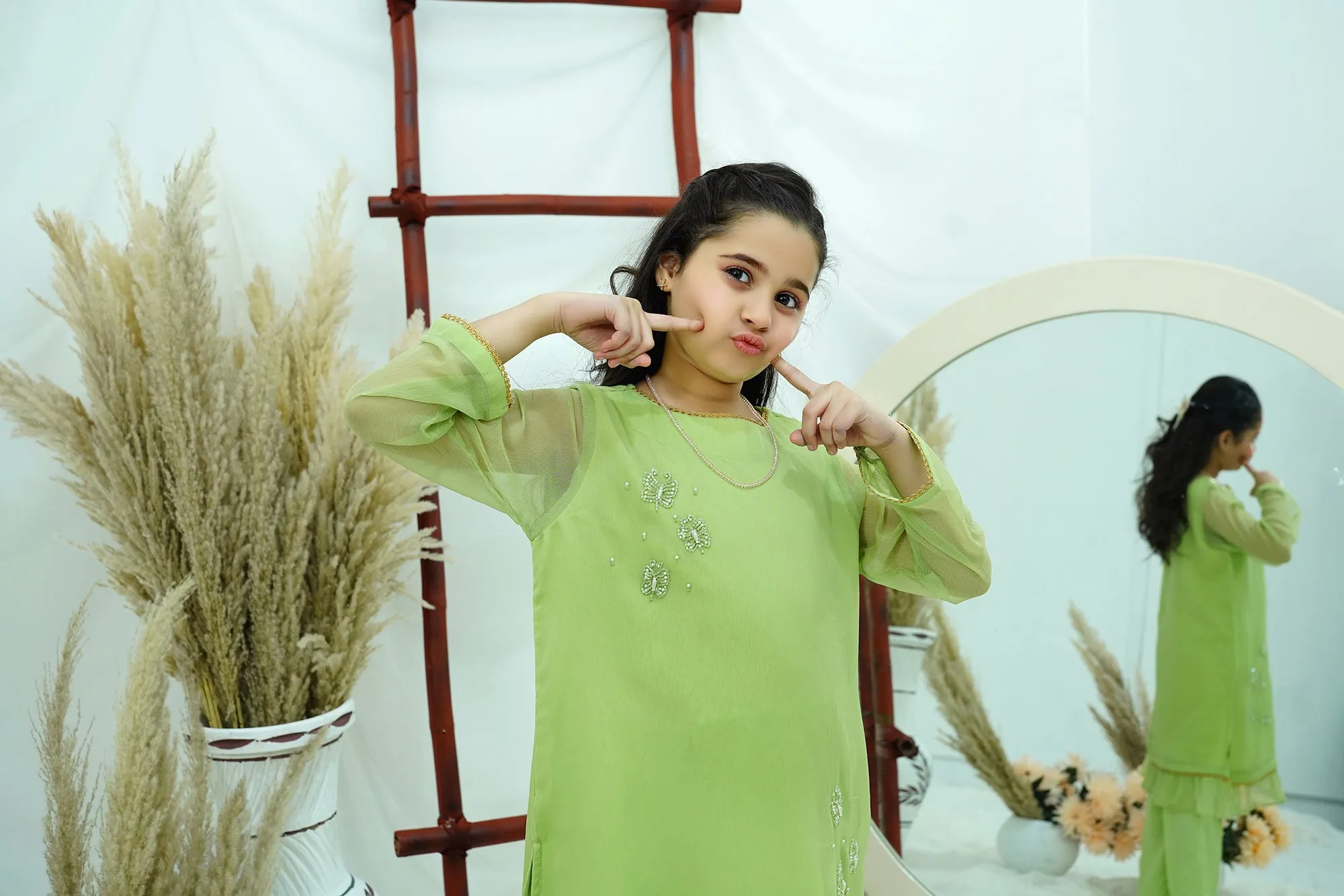 Dhani Embroidered Chiffon