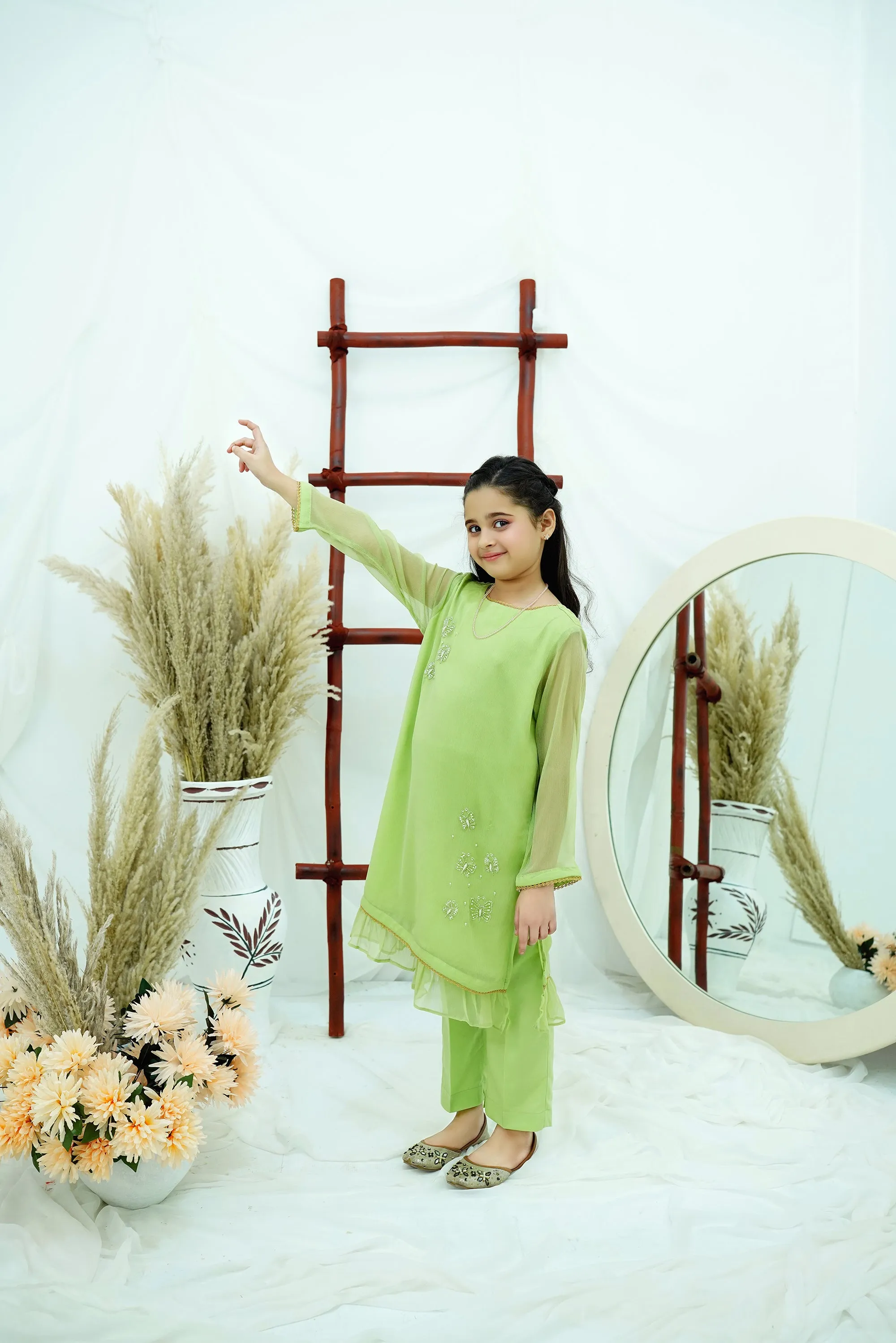 Dhani Embroidered Chiffon