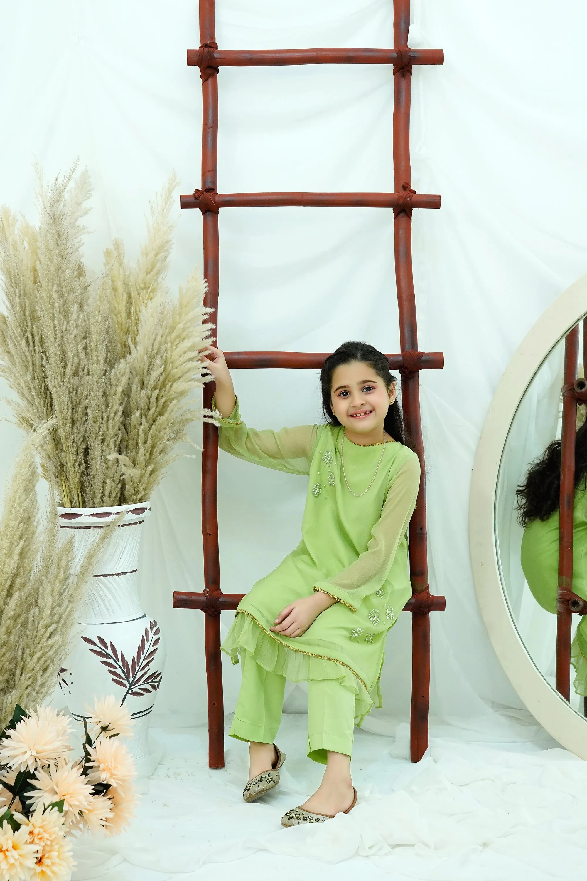 Dhani Embroidered Chiffon