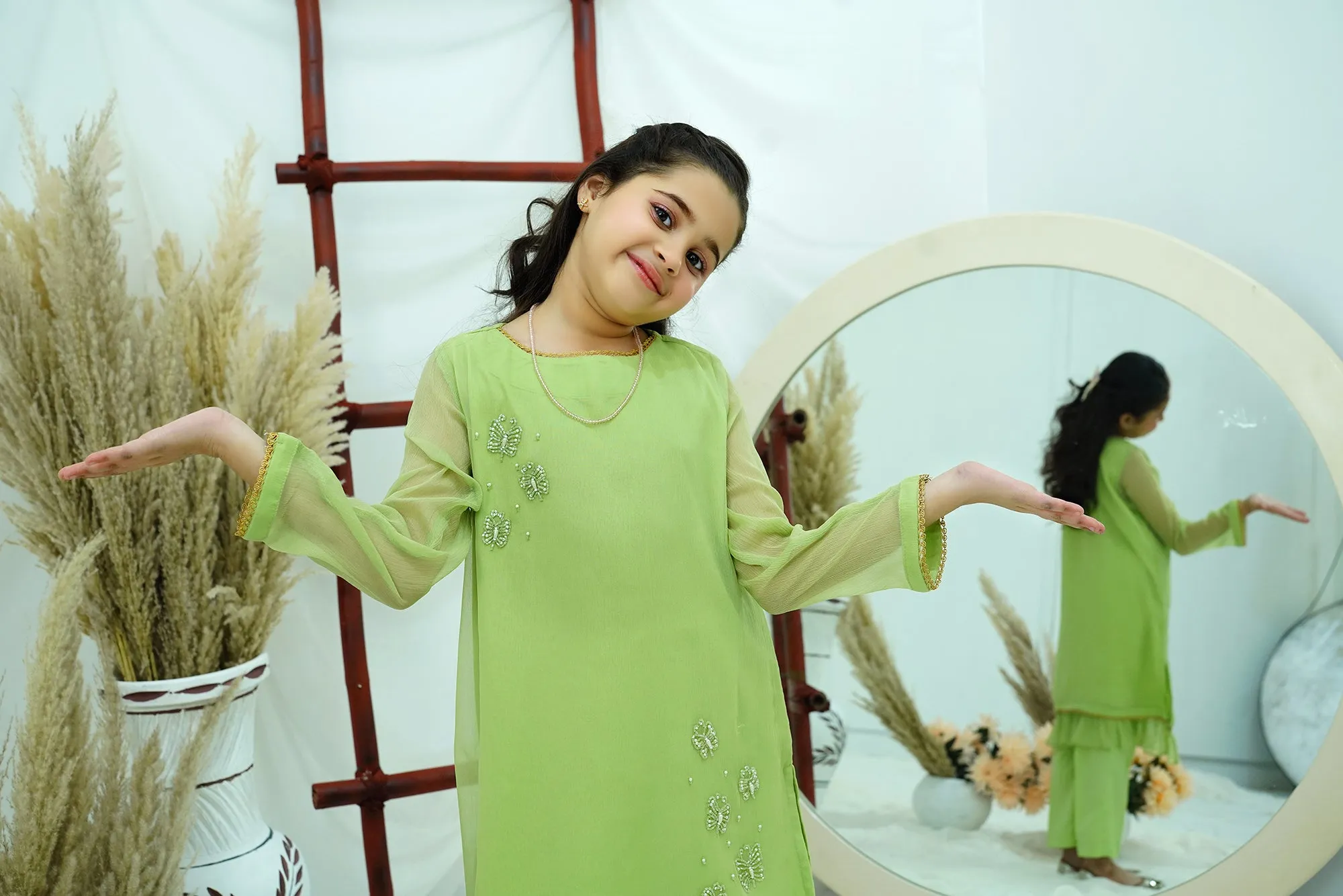 Dhani Embroidered Chiffon