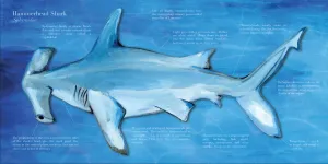 Hammerhead Shark