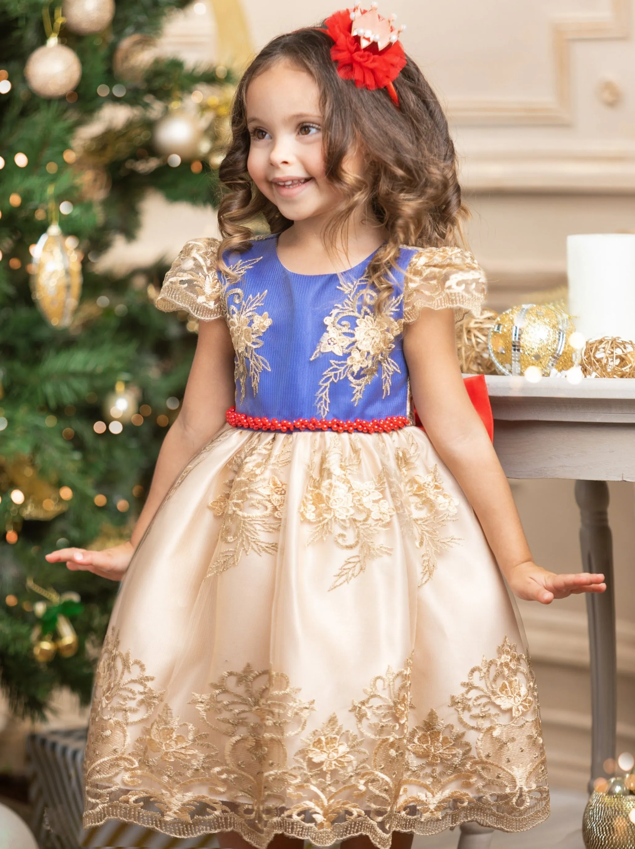 Holiday Princess Gold Embroidered Party Dress