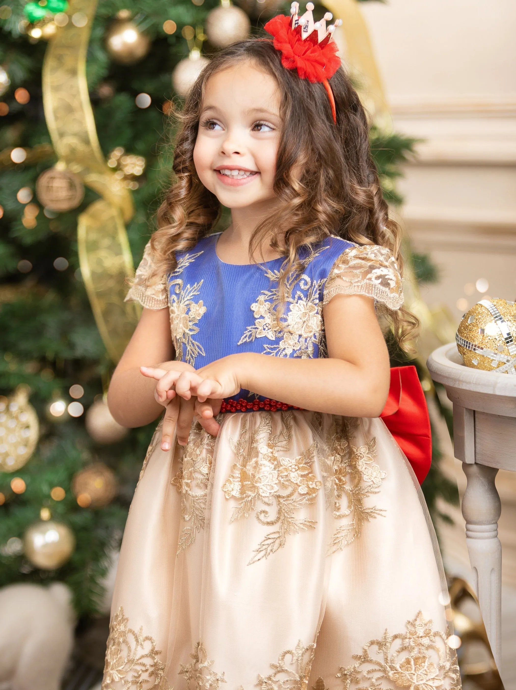 Holiday Princess Gold Embroidered Party Dress