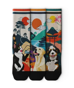 Hooman Furiends Crew Socks 3-Pack