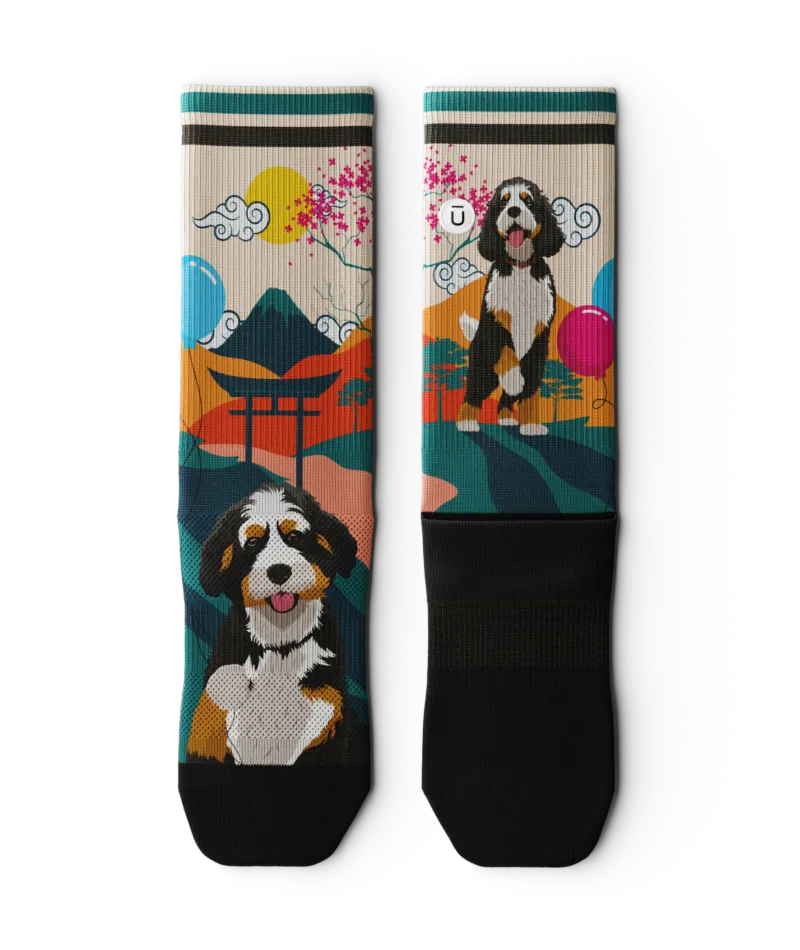 Hooman Furiends Crew Socks 3-Pack