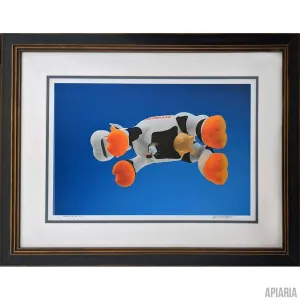 Jim Cunningham "When Cows Fly"