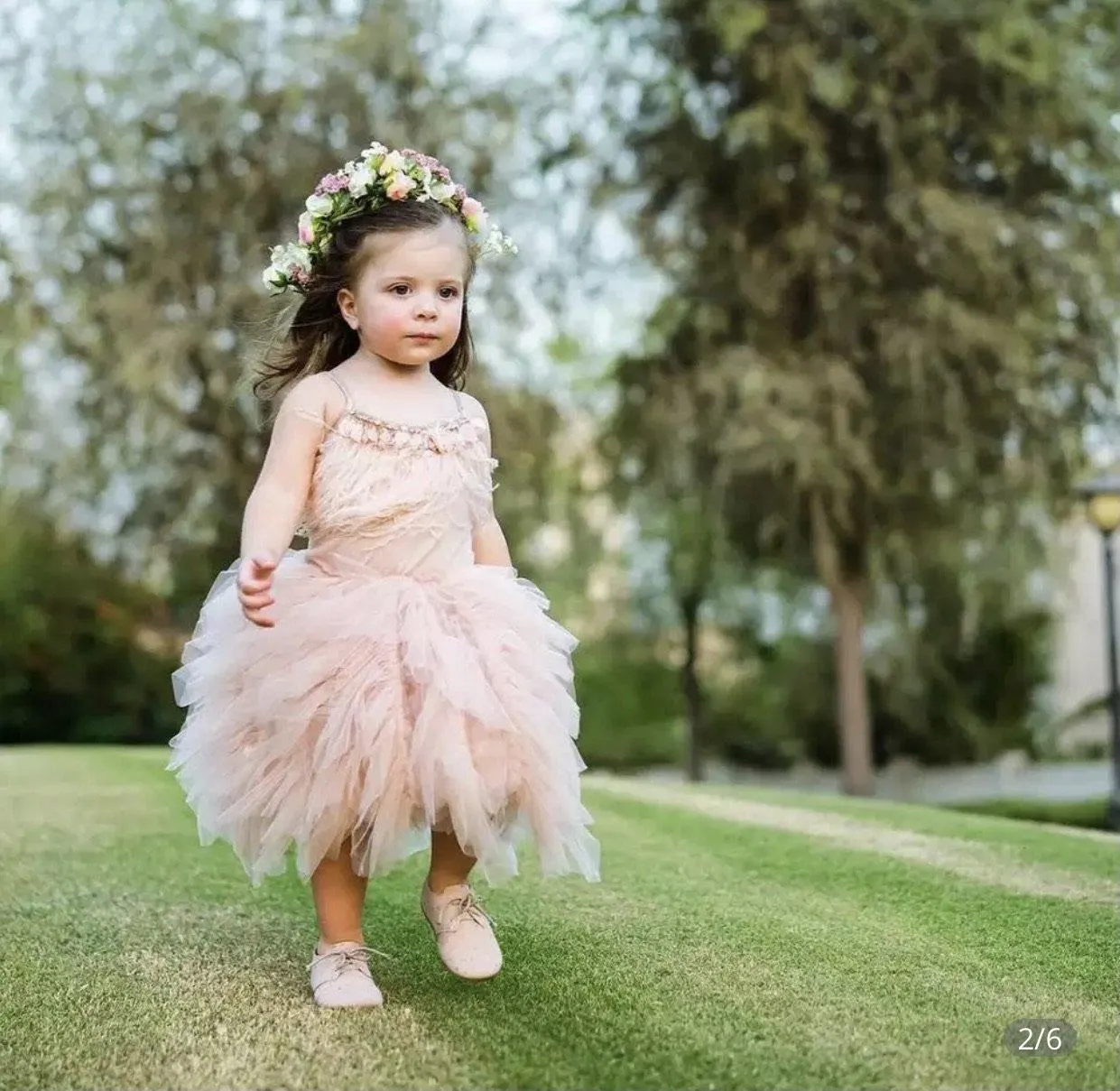 Little Princess Feathers And Ruffles Dress