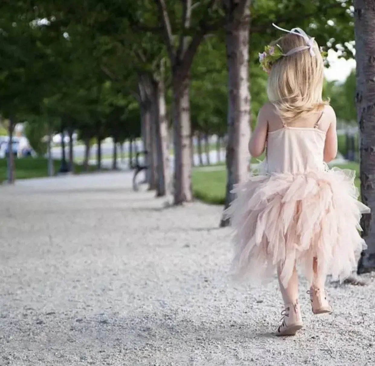 Little Princess Feathers And Ruffles Dress