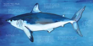 Mako Shark