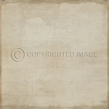 Pattern 52 "Studio Whitewash" Vinyl Floorcloth - Spicher & Co.