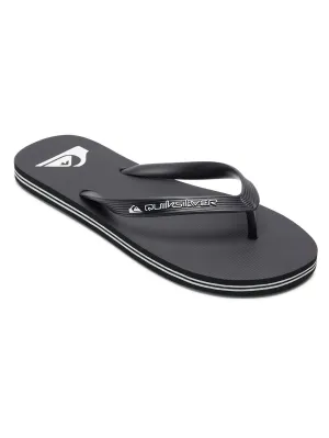Quiksilver Men's Molokai Core Sandals