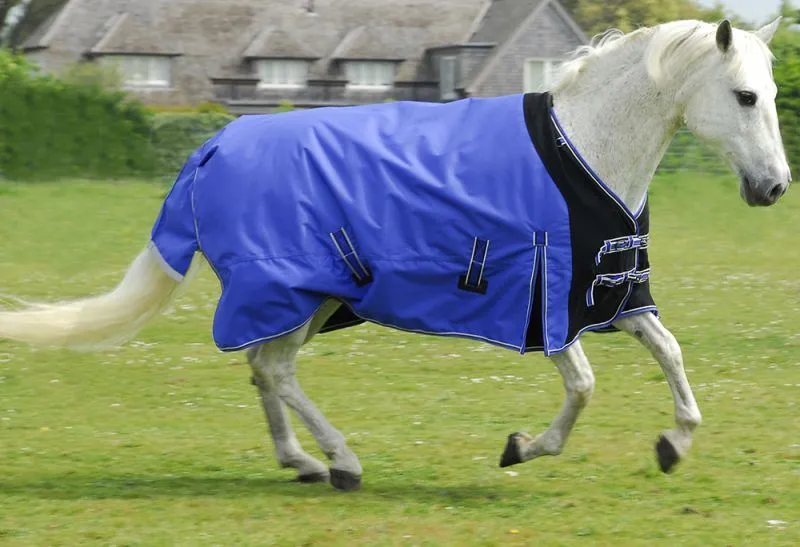 Rhinegold Elite Storm Rug(Inc Neck Cover)
