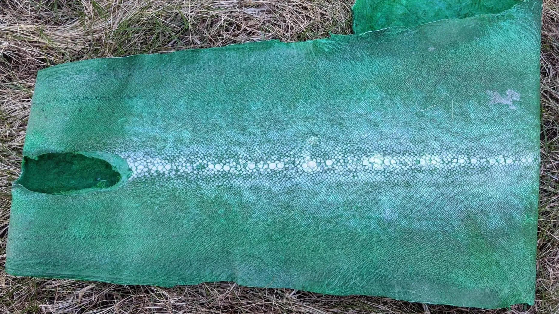 Row Stone Shark