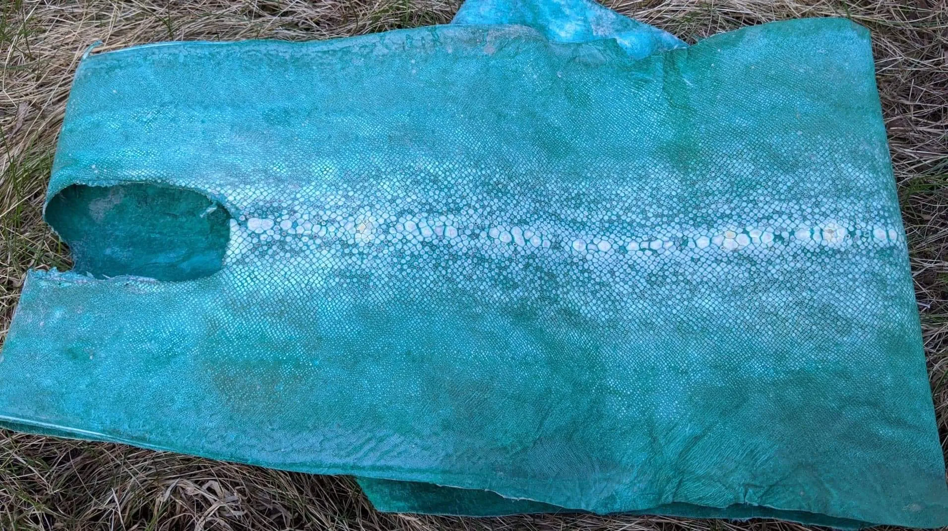 Row Stone Shark