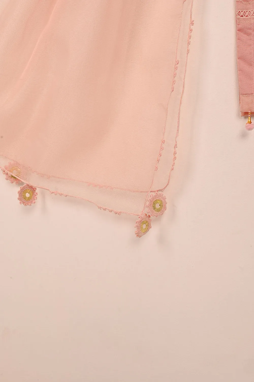 RTW-204-Pink - 3Pc Ready to Wear 3Pc Javeria Net Embroidered  Dress