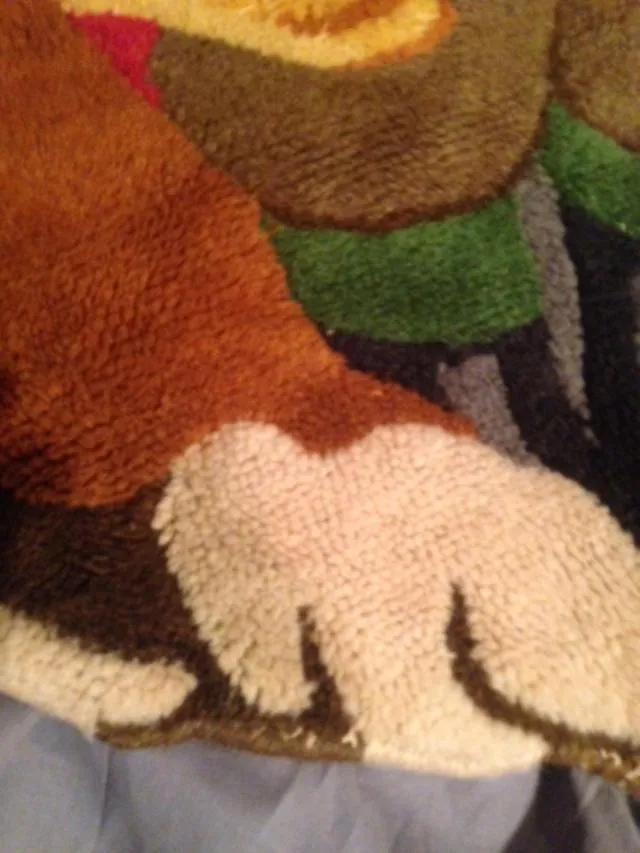 Rug Master Fox with His Hound Wool and Vintage