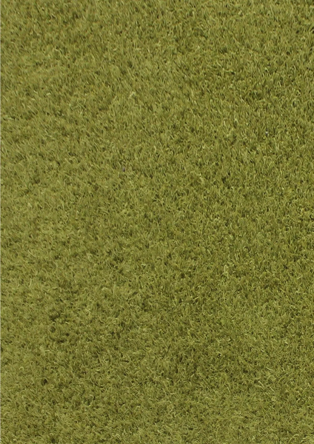 Shanghai Mix Green Sale