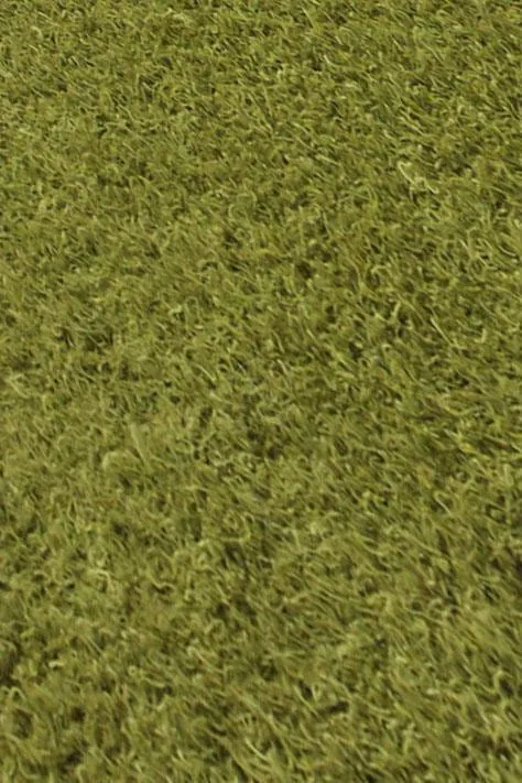 Shanghai Mix Green Sale