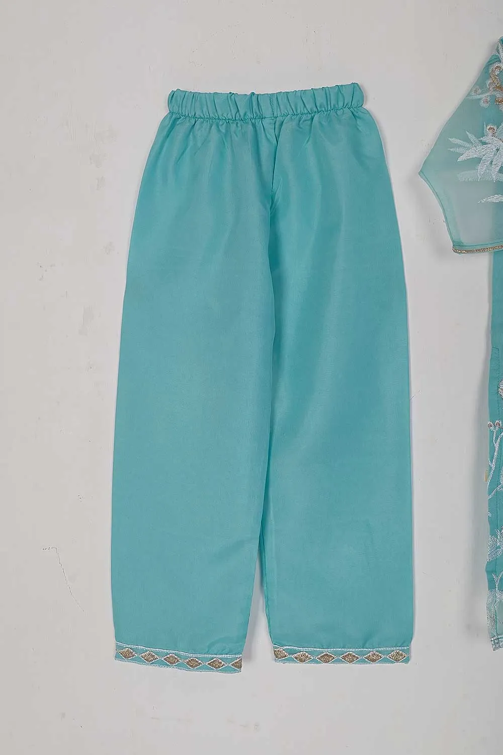 TKF-24A-SKY BLUE - Kids 3Pc Organza Formal Embroidered Dress With Malai Trouser