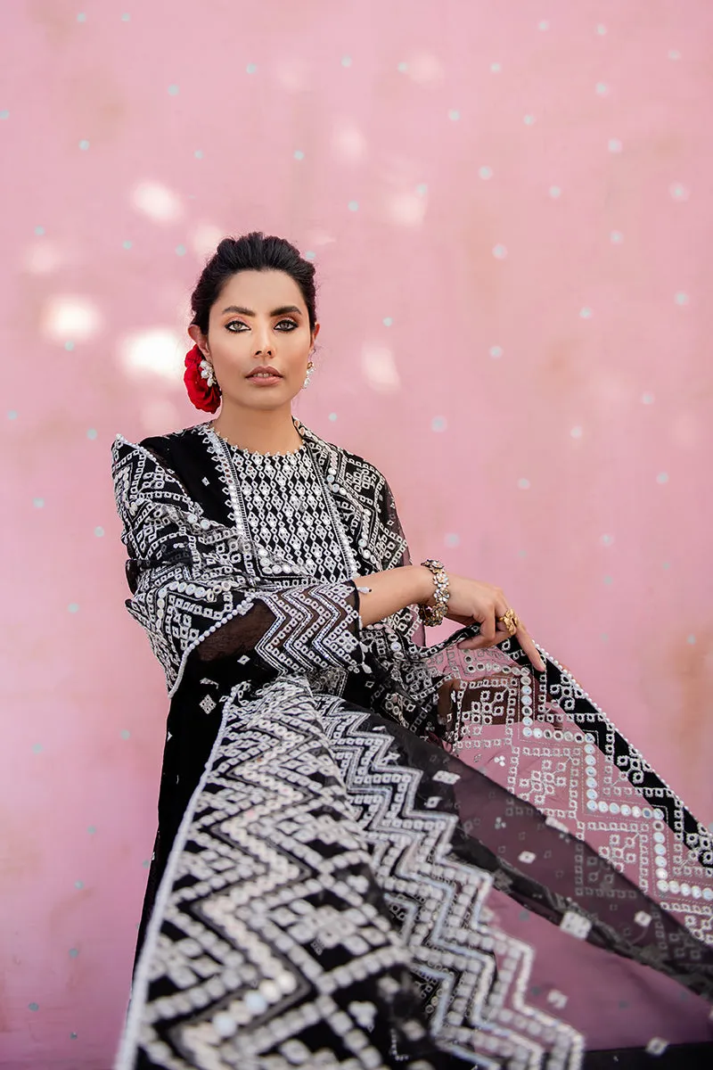 Traditional Embroidered Black Pakistani Salwar Kameez Dupatta Salwar Suit