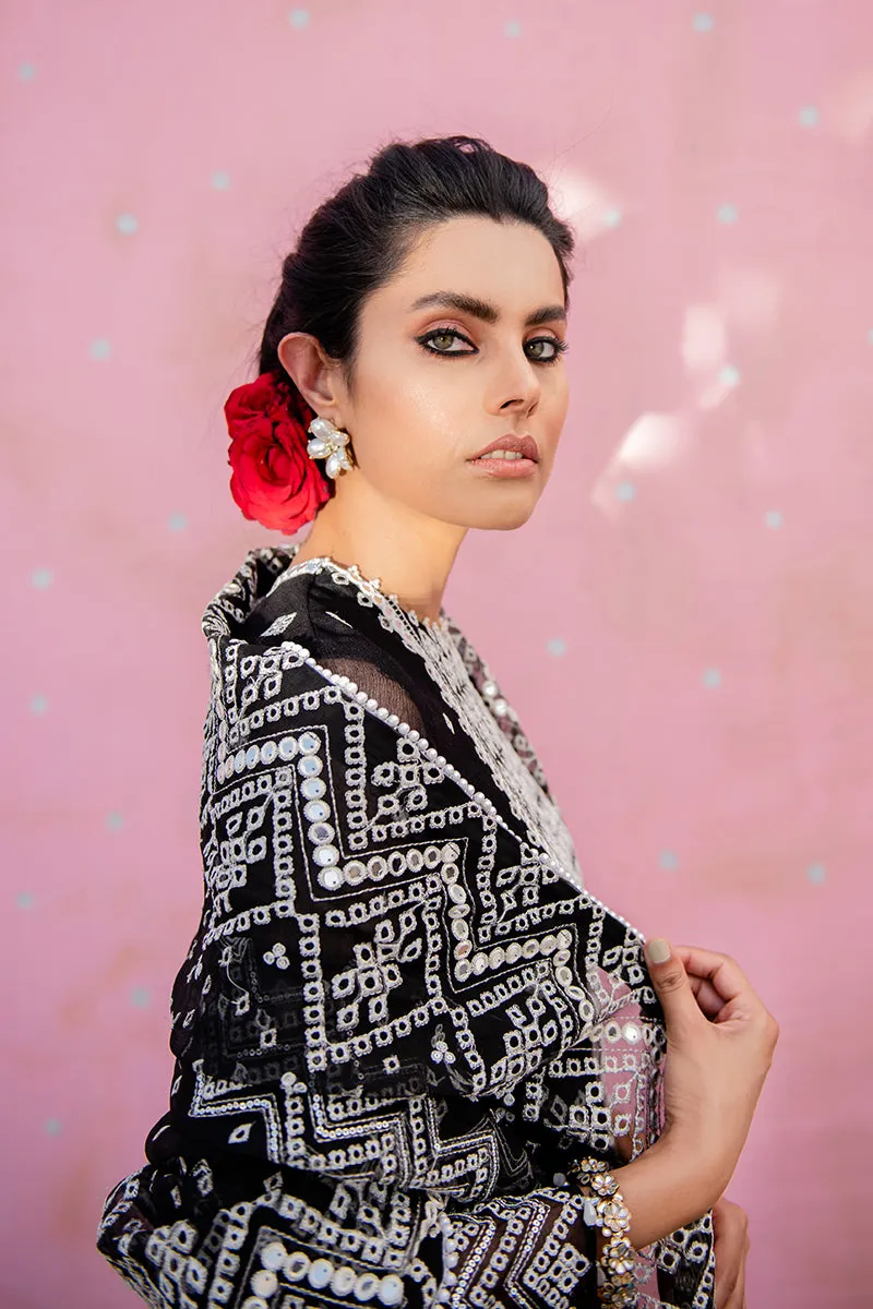 Traditional Embroidered Black Pakistani Salwar Kameez Dupatta Salwar Suit