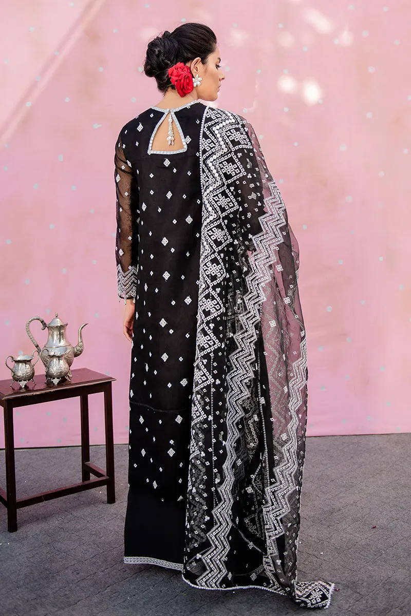 Traditional Embroidered Black Pakistani Salwar Kameez Dupatta Salwar Suit