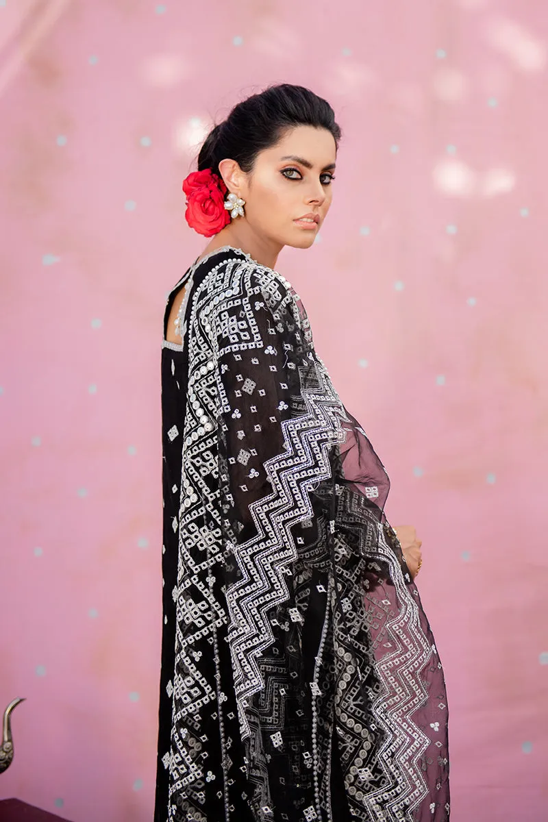 Traditional Embroidered Black Pakistani Salwar Kameez Dupatta Salwar Suit