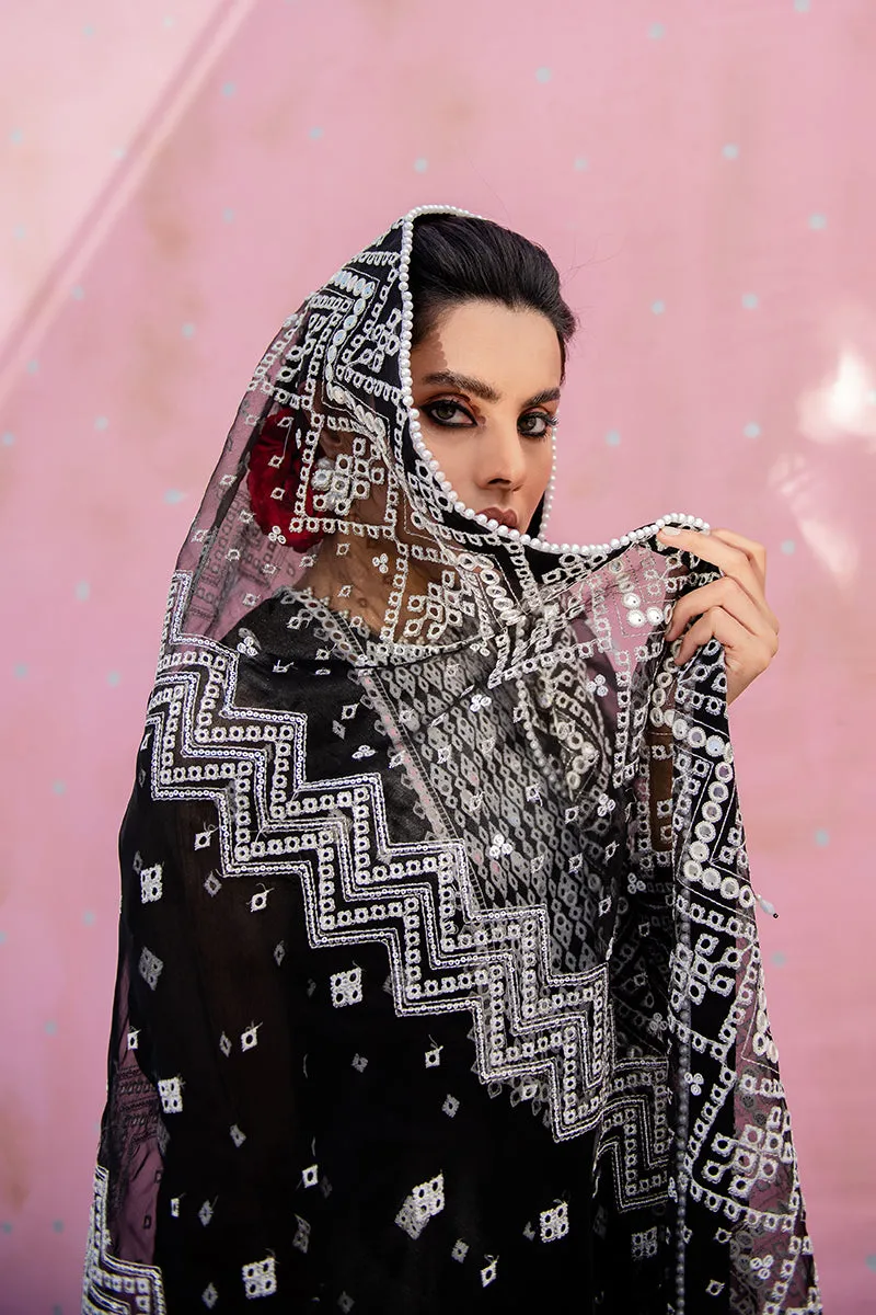 Traditional Embroidered Black Pakistani Salwar Kameez Dupatta Salwar Suit