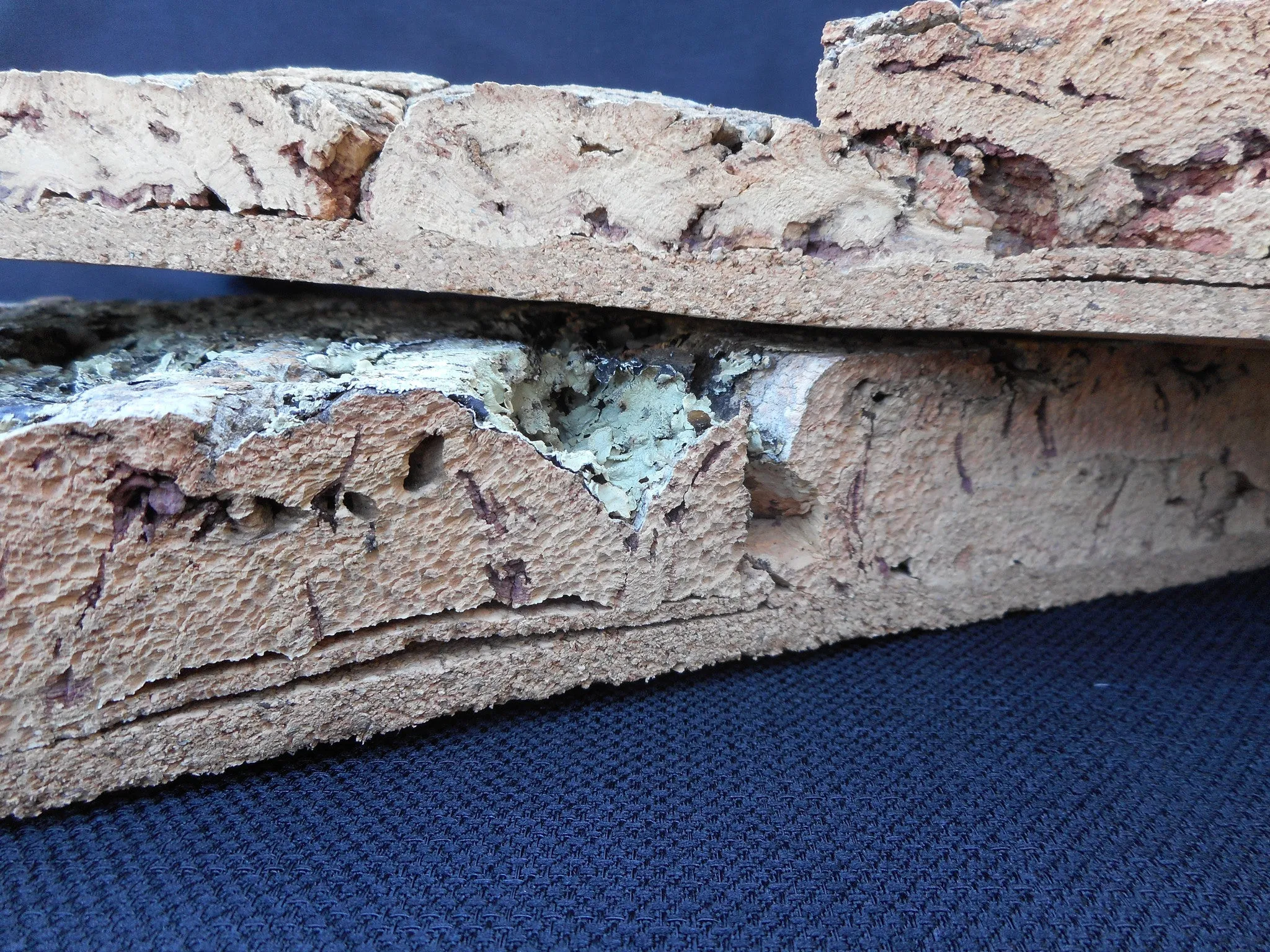 Tree Bark Cork Wall Tile