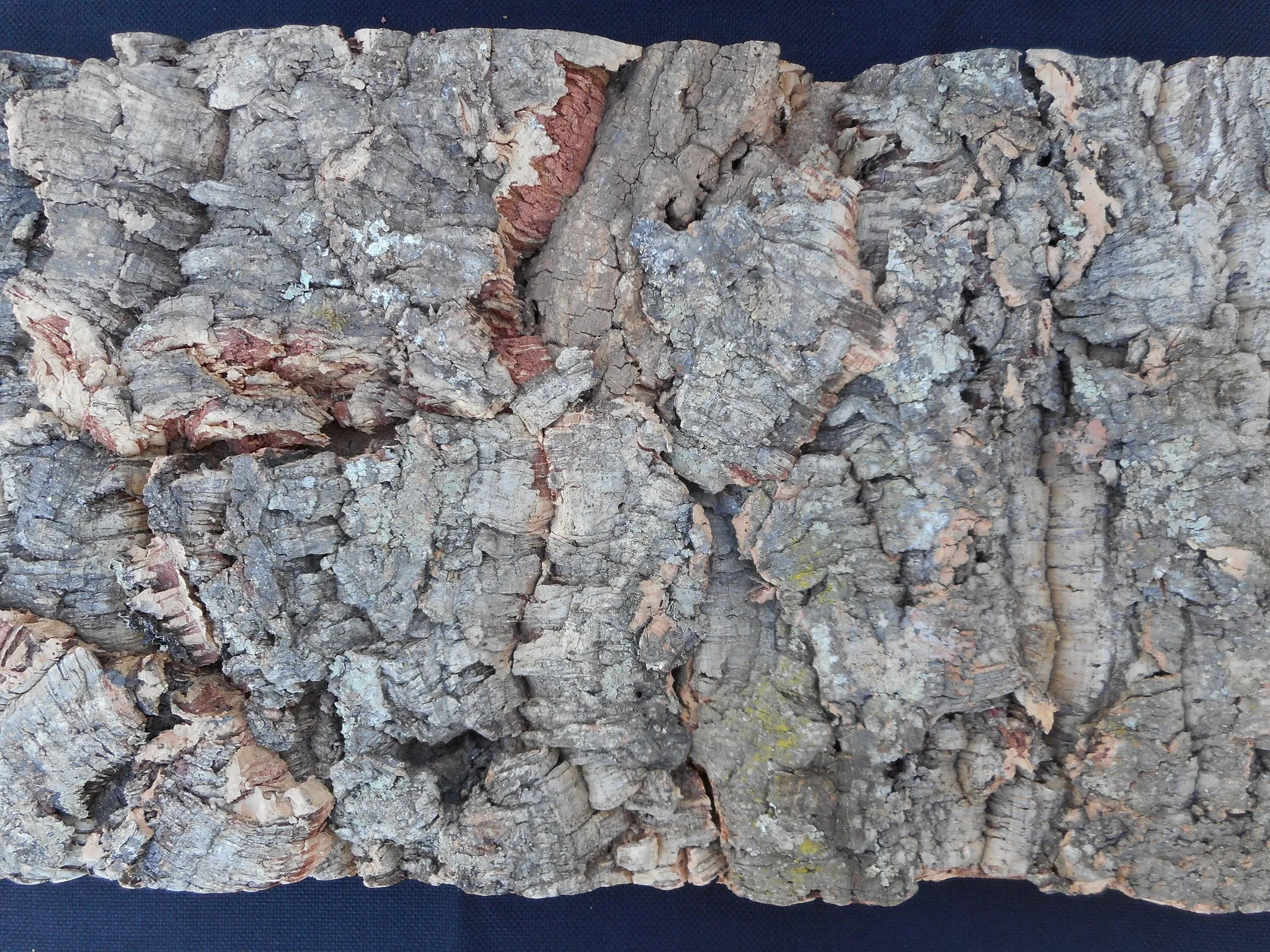 Tree Bark Cork Wall Tile