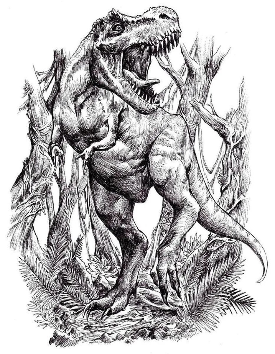 TRex Gallery Canvas Art Print