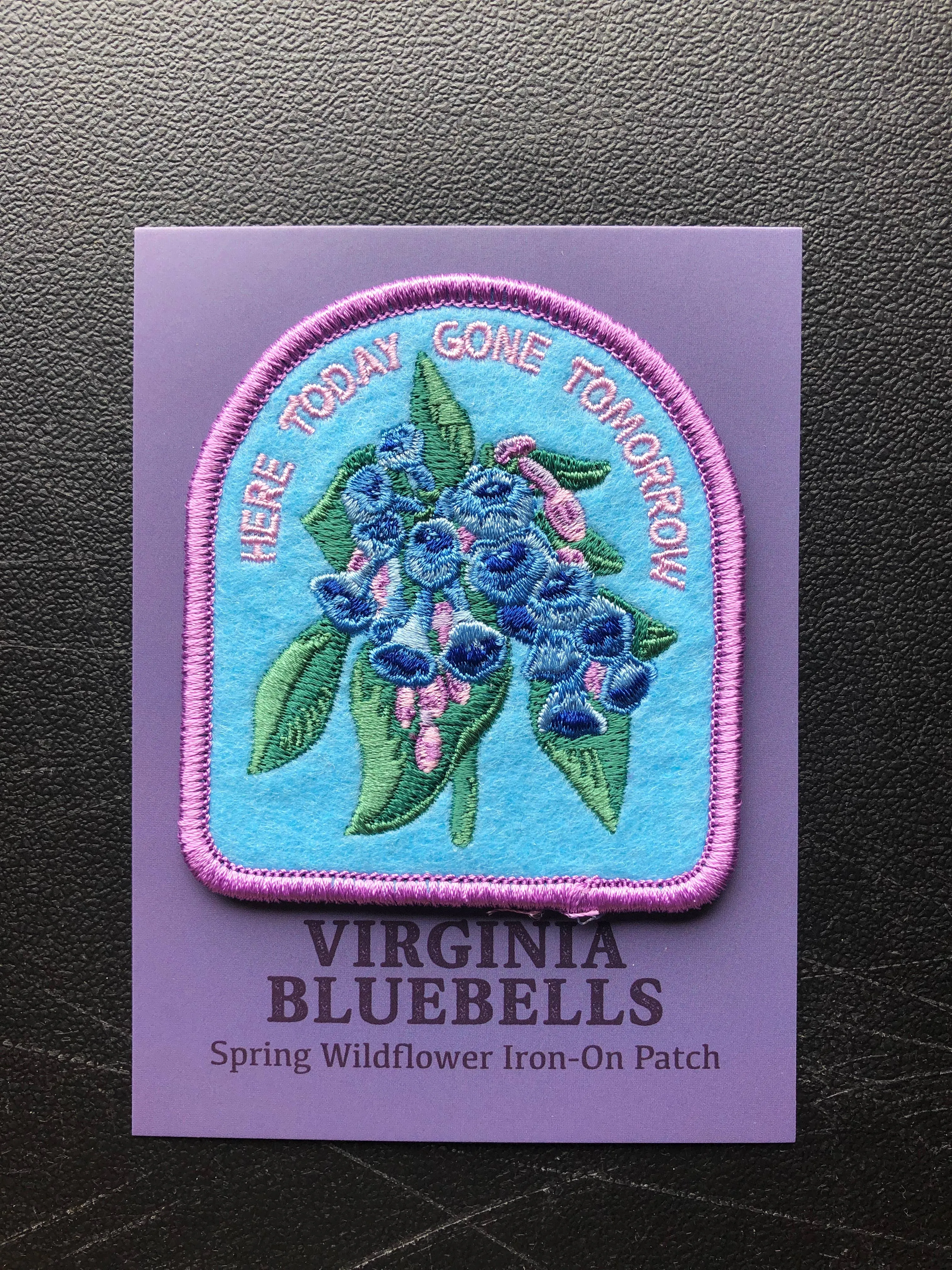 Virginia Bluebells Patch