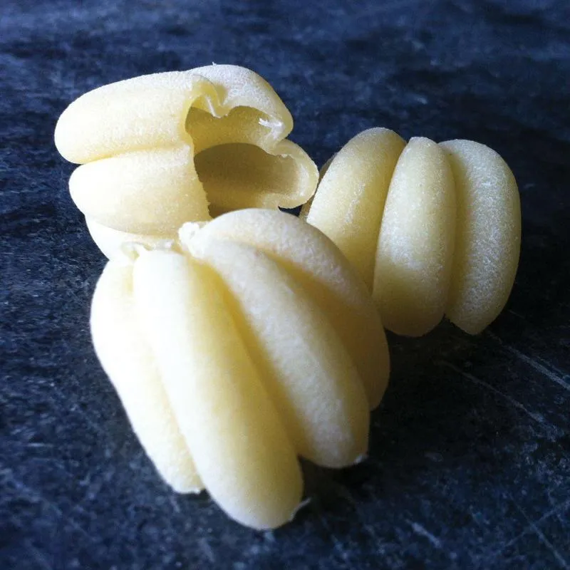 Zucca